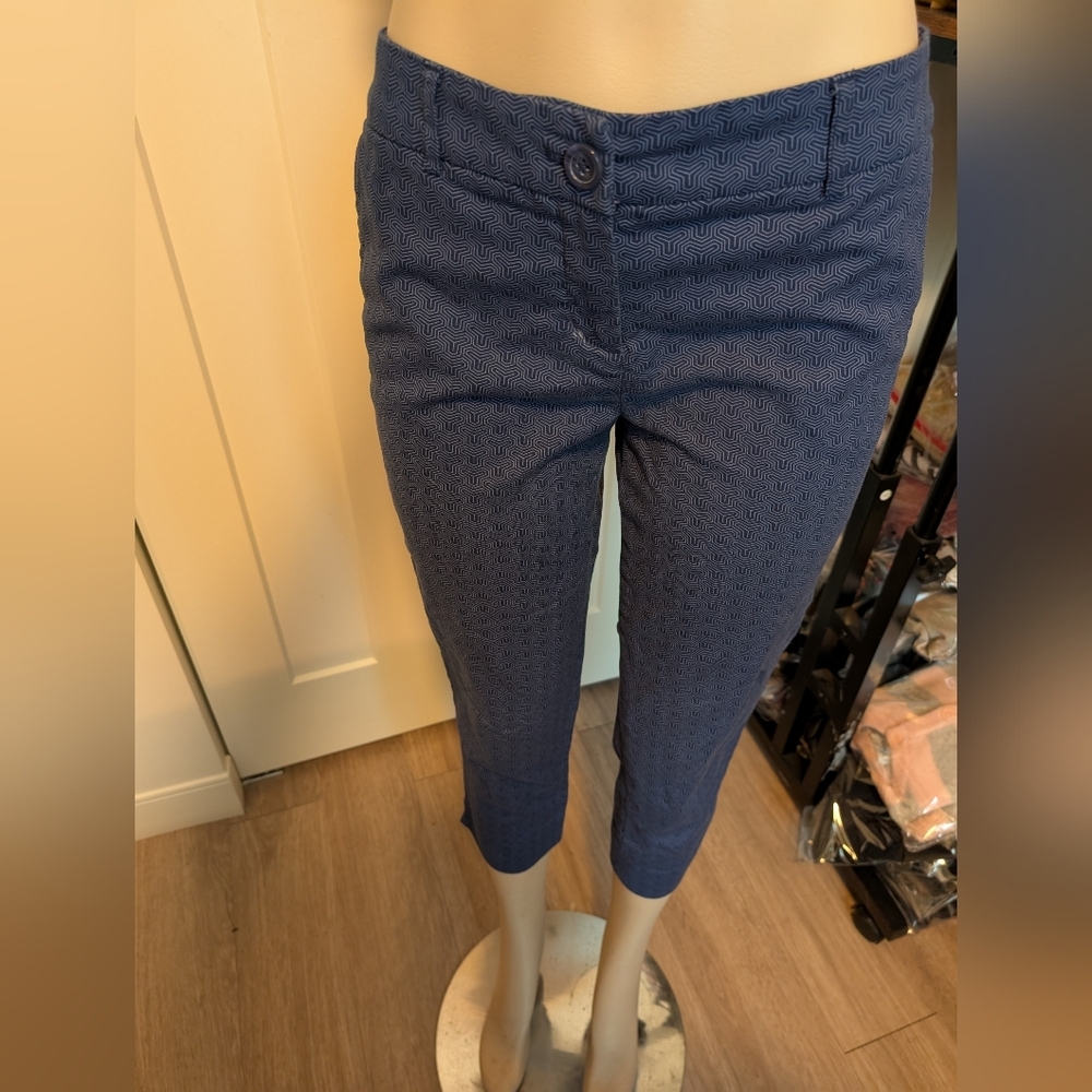 Hilary Radley Blue Cropped Trousers Size 8